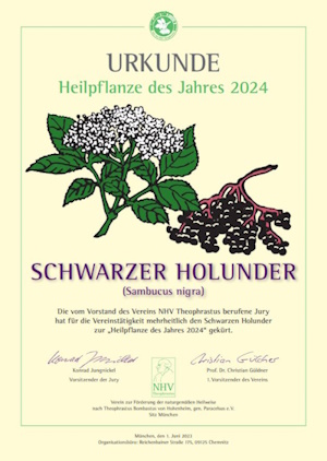 Urkunde der Heilpflanze des Jahres 2024 (Urkunde: NHV Theophrastus)