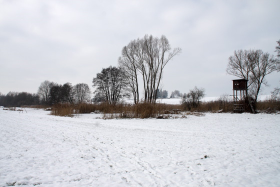 Schnee und Frost haben das Feuchtgebiet in ein weißes Kleid gehüllt (Bild: Thomas Langhirt)