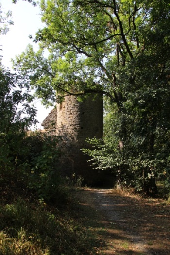 Der Rimbachturm - Teil in der nordöstlichen Stadtmauer (Bild: Björn Neckermann)