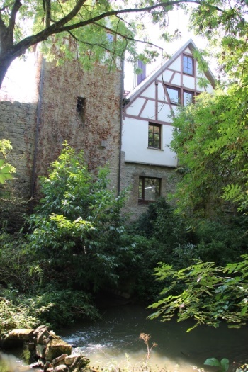 Teil der Stadtmauer mit Hirtenturm (Bild: Björn Neckermann)