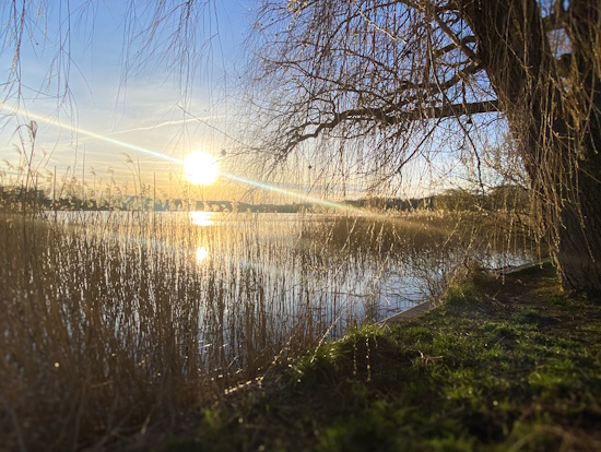 Frühling am Crivitzer See - die Natur erwacht (Bild: © Katja Feist)