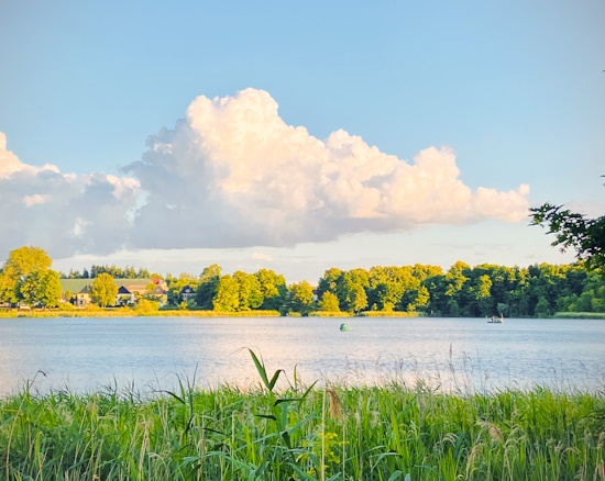 Der Natur ihren Platz zurückgeben (Bild: © Katja Feist)