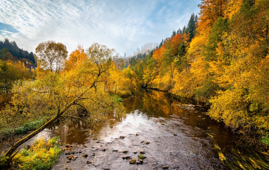 Die Murg im Herbst - Naturschauspiel (Bild: © Guido de Kleijn)