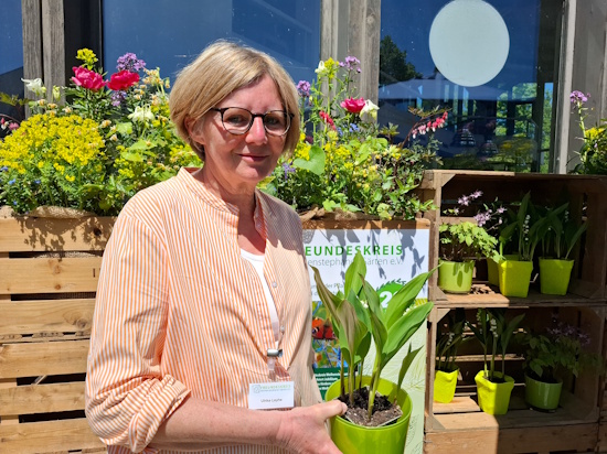 Ulrike Leyhe kennt sich in der Welt der Stauden bestens aus und gibt ihr Wissen gerne weiter (Bild: © GMH / Hedwig Klinkan) Ulrike Leyhe kennt sich in der Welt der Stauden bestens aus und gibt ihr Wissen gerne weiter (Bild: © GMH / Hedwig Klinkan)