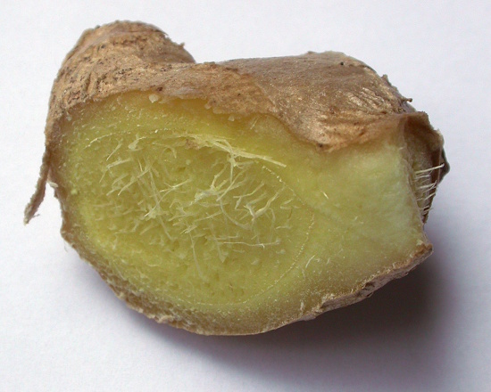 Ingwer Rhizom - Querschnitt (Bild: © Studienkreis Klostermedizin) Ingwer Rhizom - Querschnitt (Bild: © Studienkreis Klostermedizin)