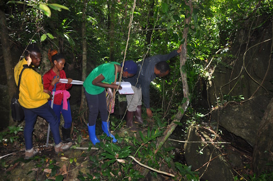 Projektarbeit in Tansania (Bild: Charles Kilawe)