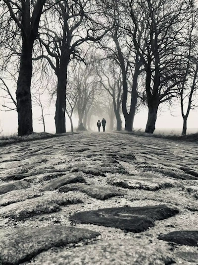 Allee des Jahres 2024 - Platz 3. - Rosskastanien-Allee zwischen Klein- und Groß Flotow (Bild: © Lydia Hübenthal)