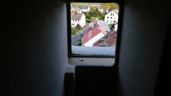 Diesen Ausblick haben die Falken wenn sie auf die freien Flächen abziehen möchten (Bild: A.Klaeger, Würzburg)