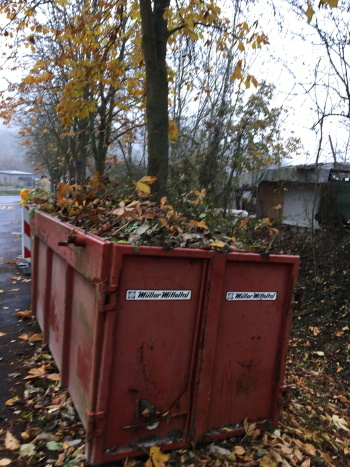 Der Container ist bis oben hin gefüllt mit den Kastanienblättern (Bild: Björn Neckermann)
