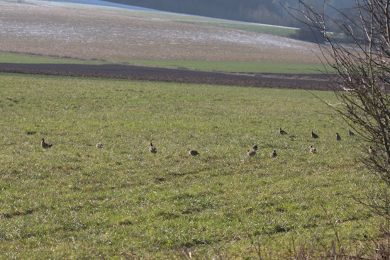 Damit wir dies noch lange so sehen können (Bild: © Gunther Zieger)
