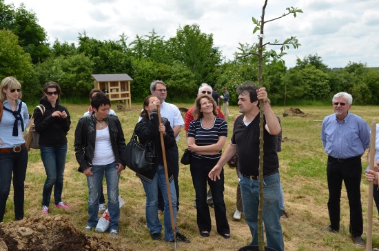 Über die Pflege und den Erhalt der Obstbäume wurden die Baumpaten vor Ort unterrichtet (Bild: Fa. Kneipp)